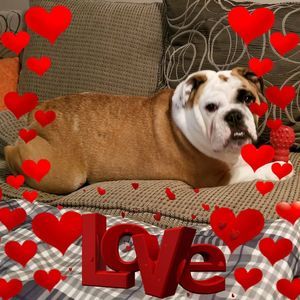 Meet your Posher, Connie